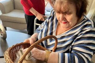 Petting Party at Holbeach Meadows Care Home