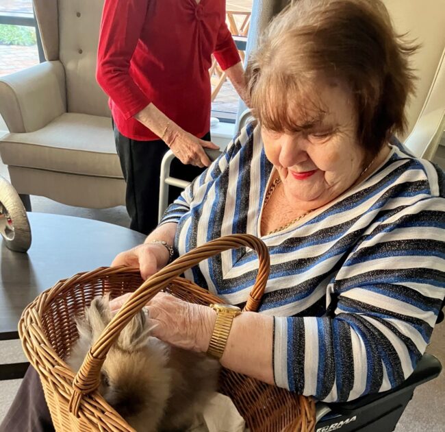 Petting Party at Holbeach Meadows Care Home
